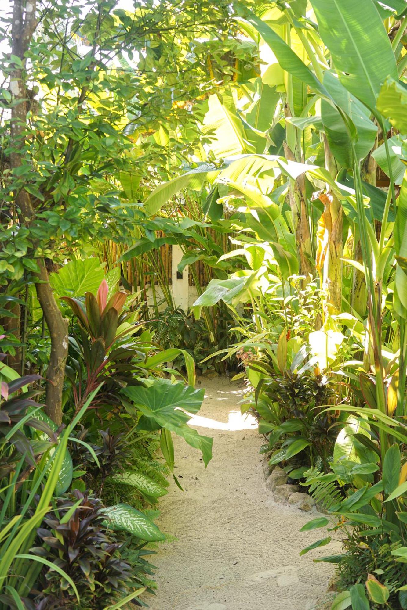 Greenhouse Siargao Roadside Boutique Apartments General Luna  Ngoại thất bức ảnh